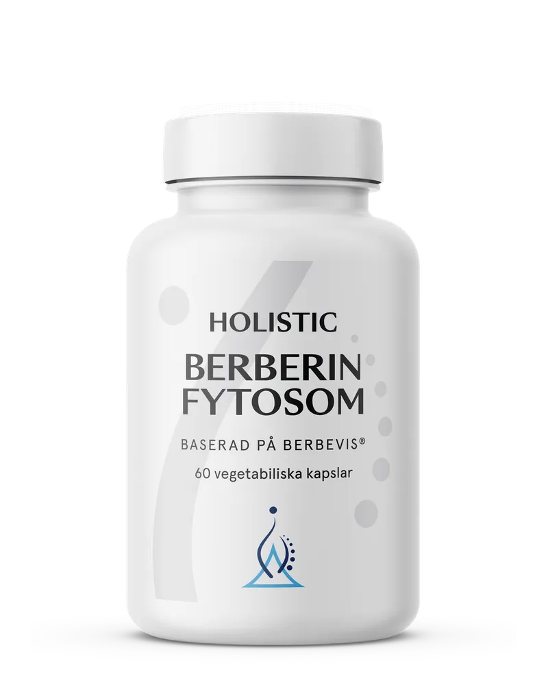 Holistic Berberin 500